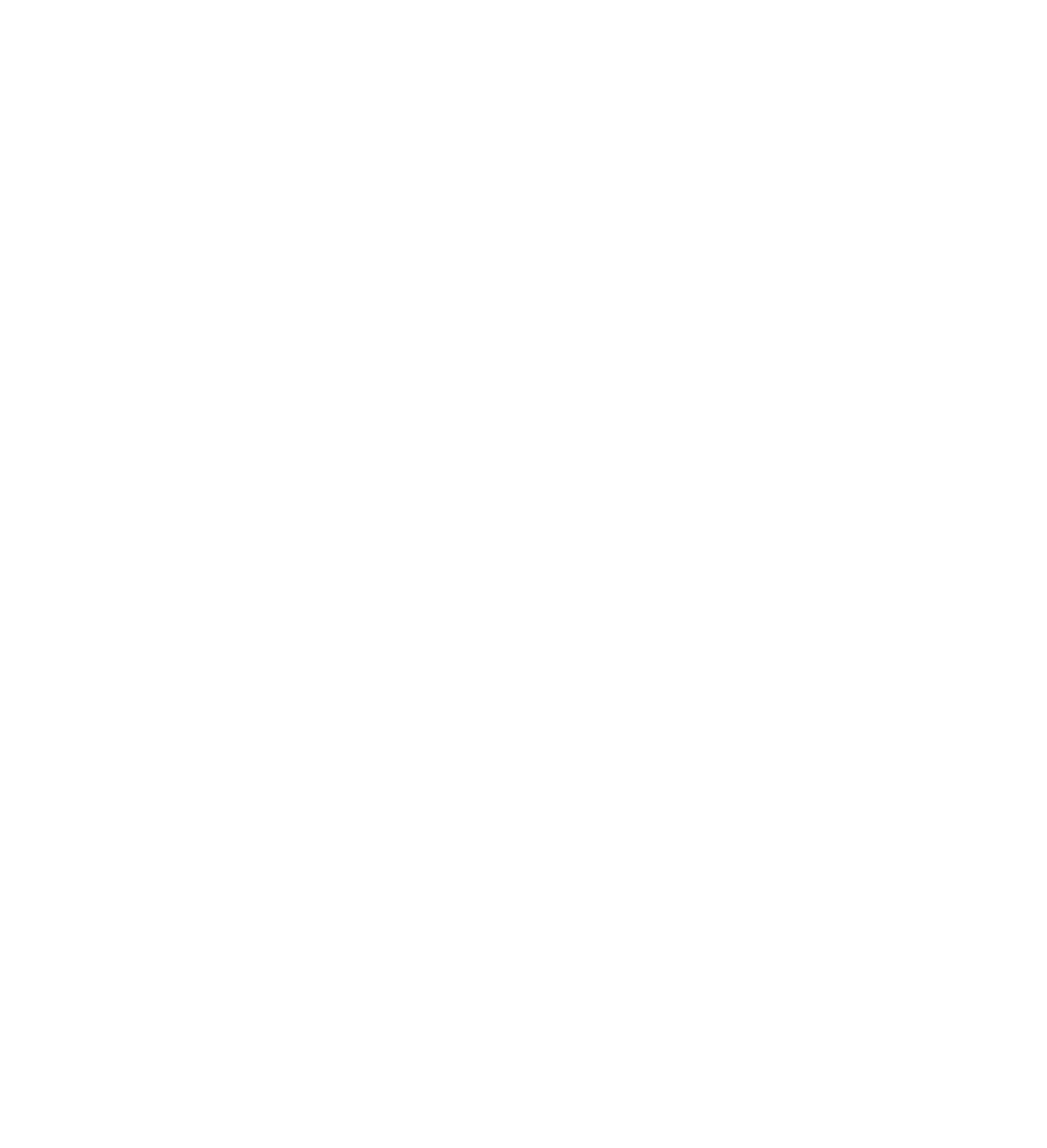 RESHET INVESTIGATION