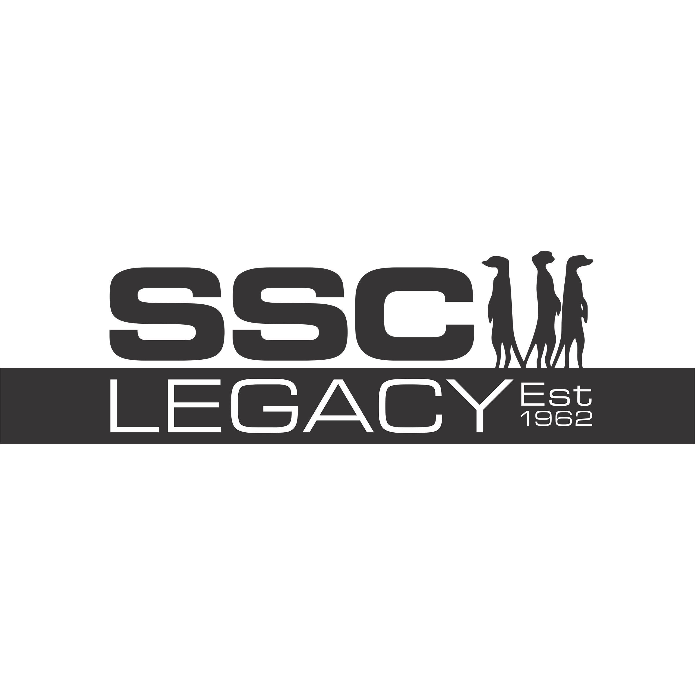 SSC Legacy Investigation Services and Security Solutions
