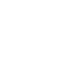 RESHET INVESTIGATION